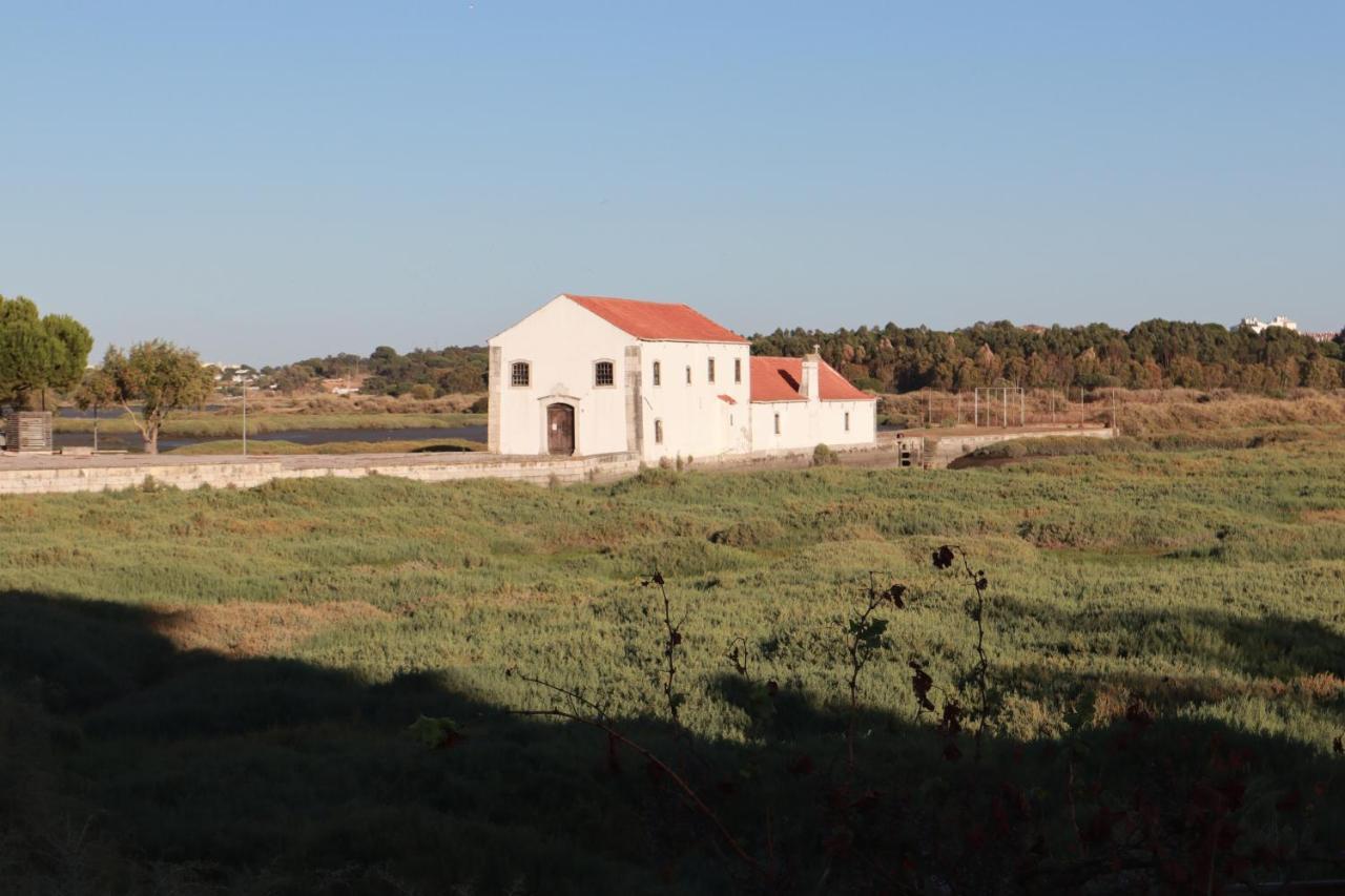 מלון קורויוס Flamingo'S Bay מראה חיצוני תמונה